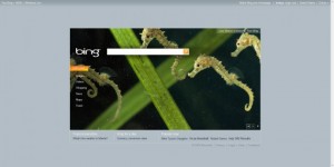 Page d'accueil de Bing