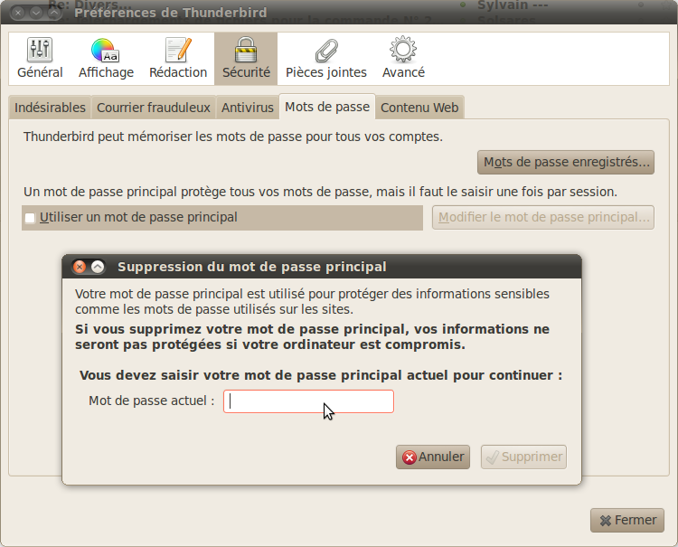 Reset du Master Password de Thunderbird