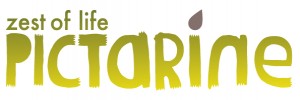 logo Pictarine