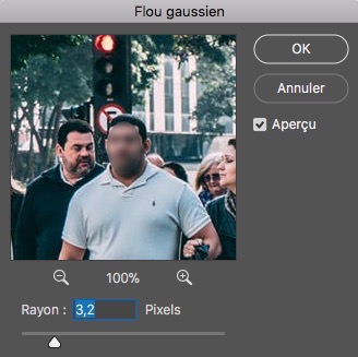 flouter un visage sur photoshop