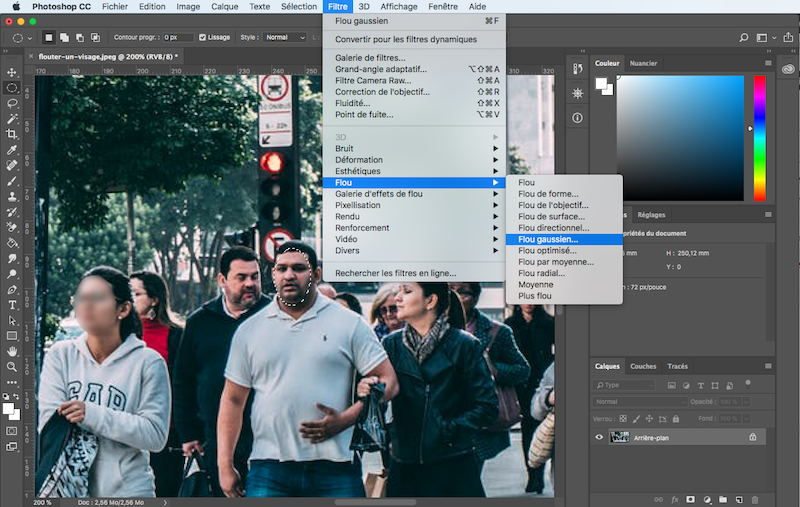 flouter un visage sur photoshop