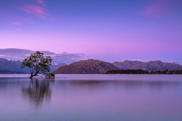 Photographie couleur violet