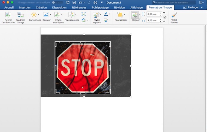 rogner une image sur word