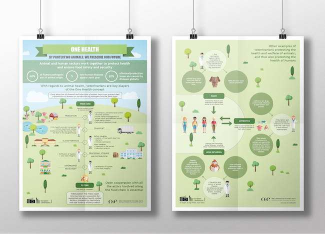 Illustration infographie One Health