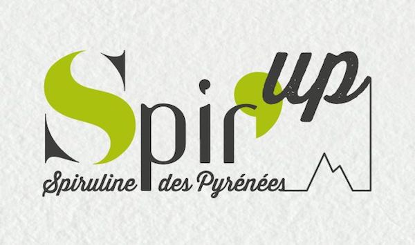 Logo ligne brisée