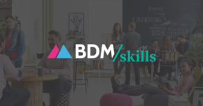 bdmskills-logo