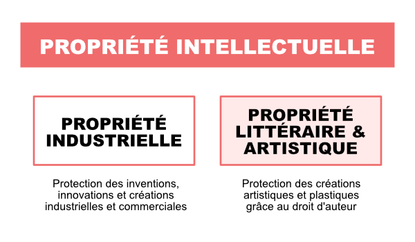 Explication propriété intellectuelle