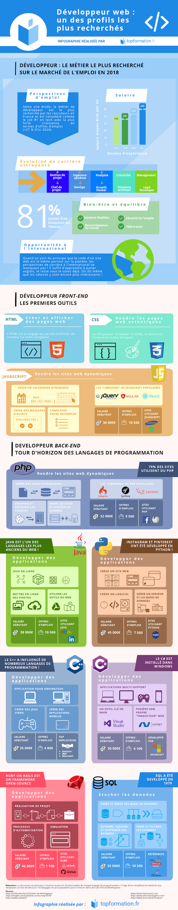 Infographie développeur web