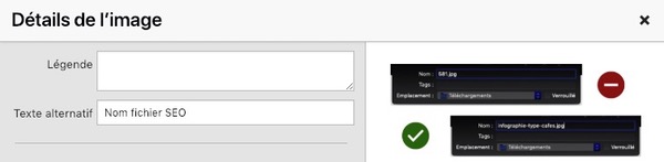 Balise alt image seo
