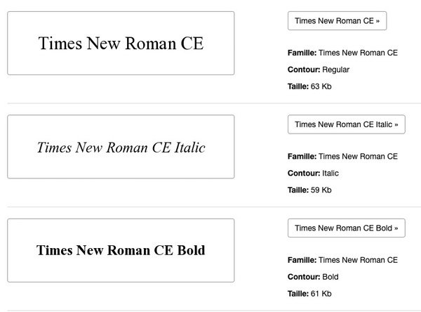 Times New Roman