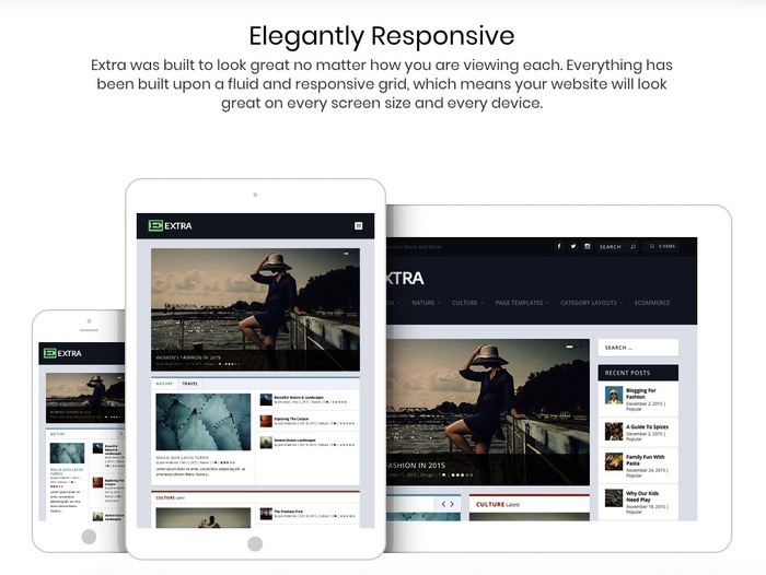 Thème WordPress responsive