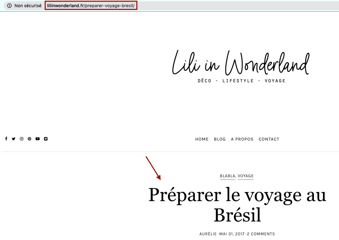 URL article de blog