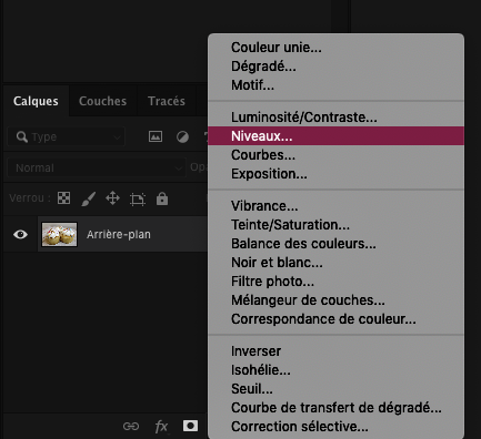 Niveaux Photoshop