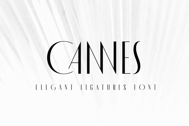 cannes typographie gratuite moderne fashion