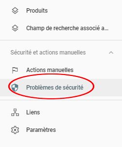 Sécurité Search Console