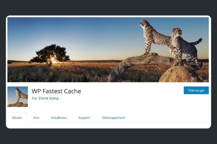 WP Fastest Cache