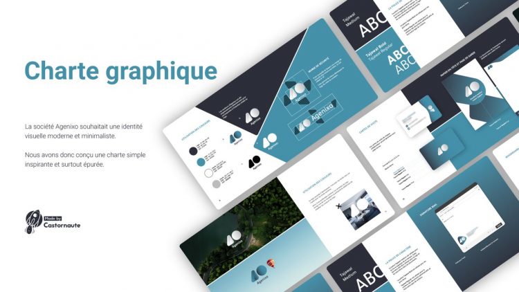 charte graphique graphiste freelance realisation