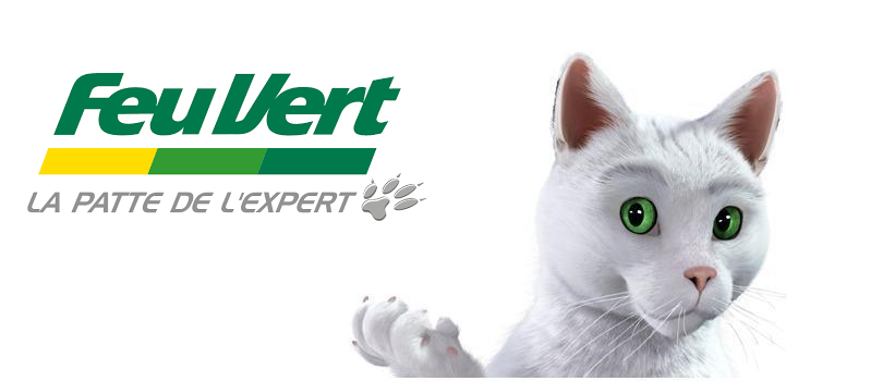 feu vert publicité chat