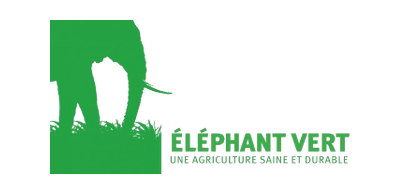 logo vert couleur éléphant animal 