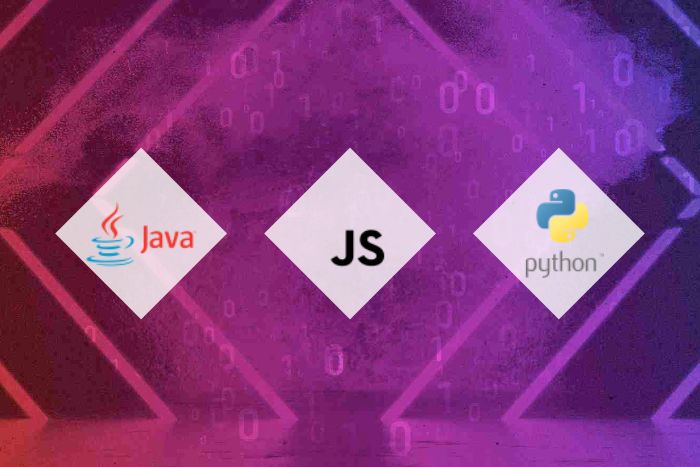 Codin'Night Battle Royale développement Java JS et Python