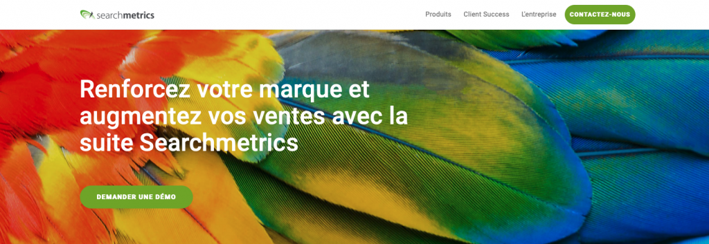 SearchMetrics