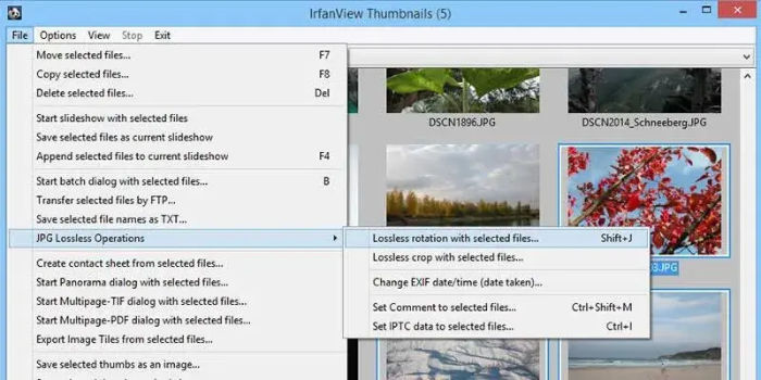 outils d'édition des métadonnées EXIF IrfanView