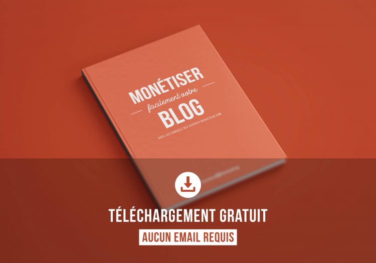 livre blanc gratuit ebook monétiser blog blog gagner de l'argent