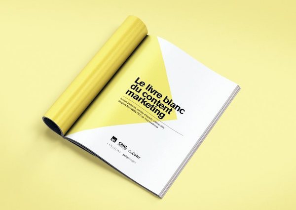 livre blanc content marketing